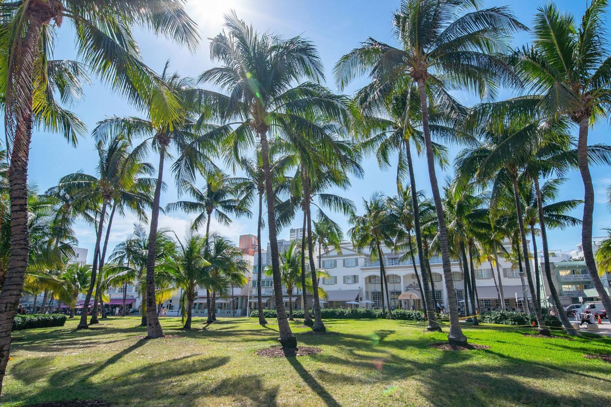 Chic Large Studio Apt Near Ocean Drive South Beach Miami Beach Exteriér fotografie