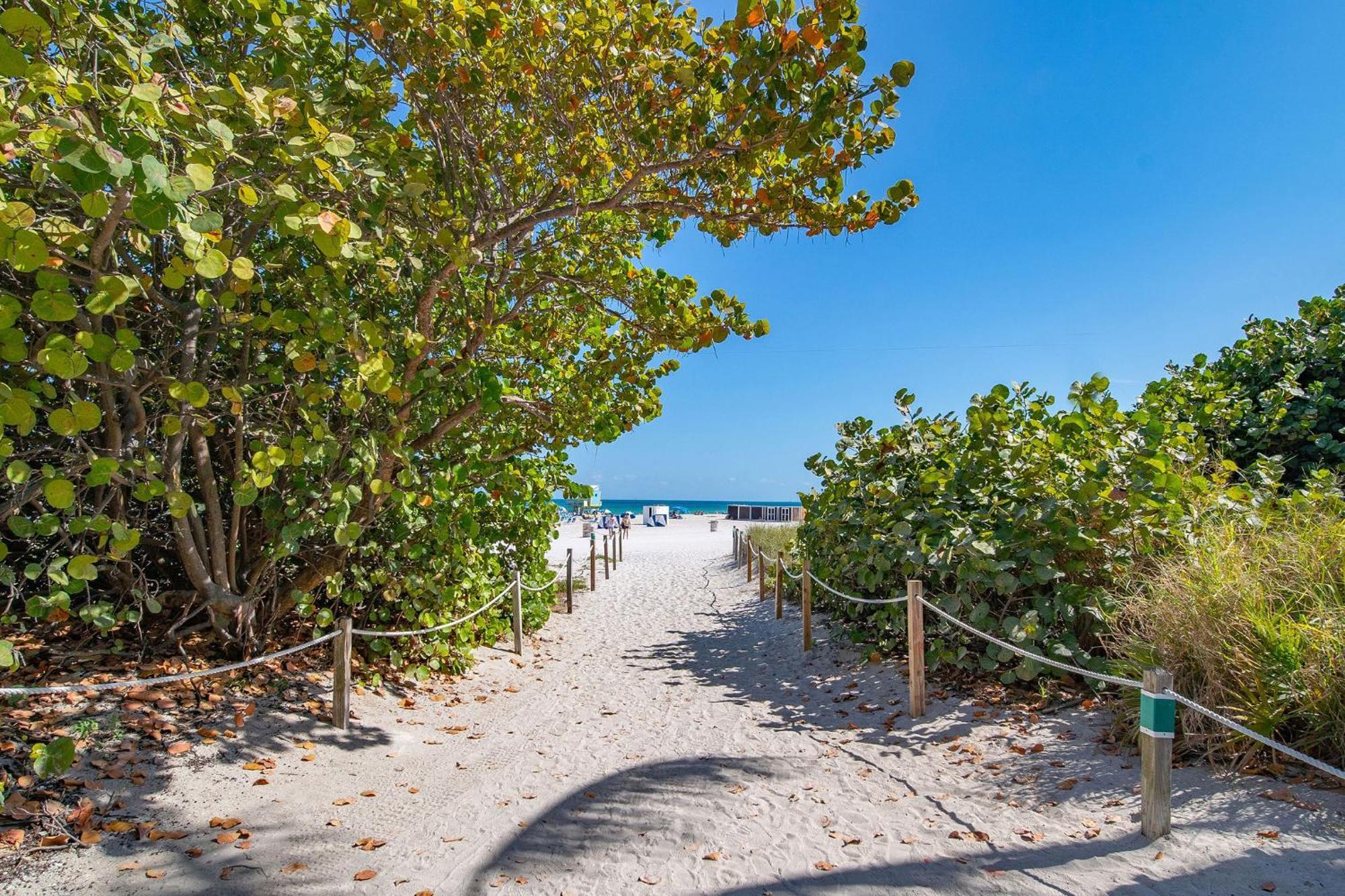 Chic Large Studio Apt Near Ocean Drive South Beach Miami Beach Exteriér fotografie